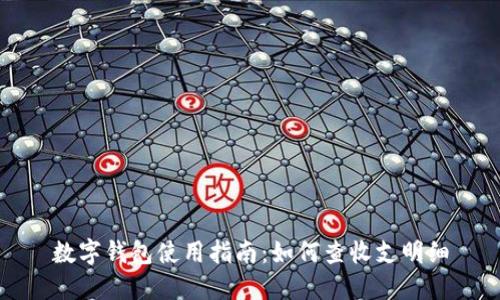 数字钱包使用指南：如何查收支明细